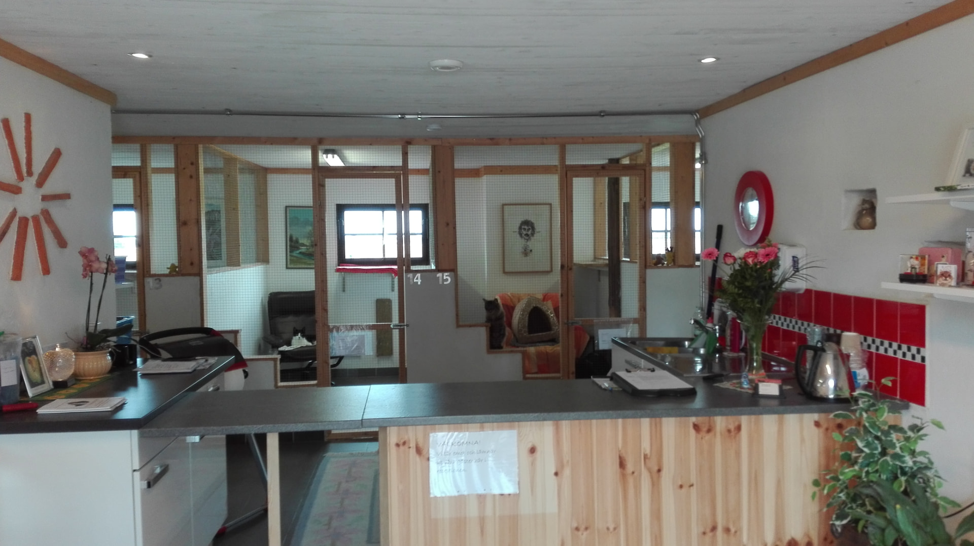 Receptionen med kattrummen bakom